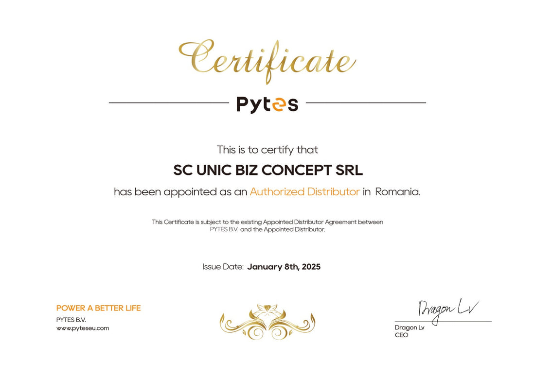 Fabrica de Baterii distribuitor Pytes si in 2025